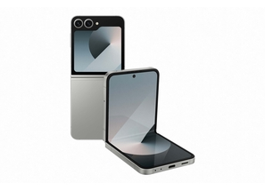 Galaxy Z Flip 6 256GB Silver-txt